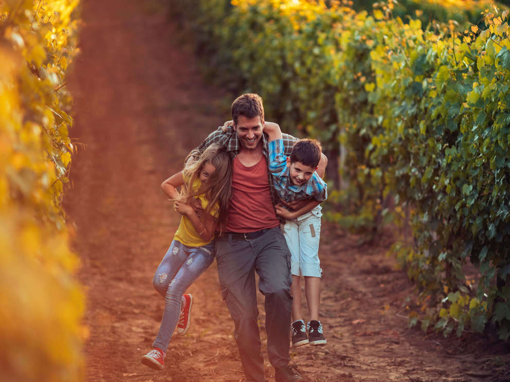 Ogni famiglia è perfetta a modo suo
