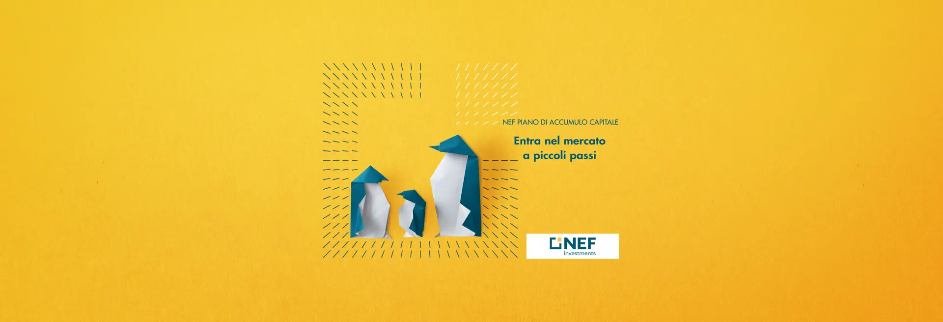 nef pac